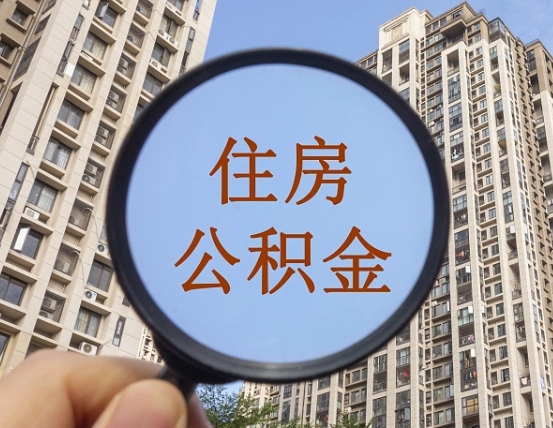 枣庄北京2025公积金新规（枣庄北京出台公积金新政）